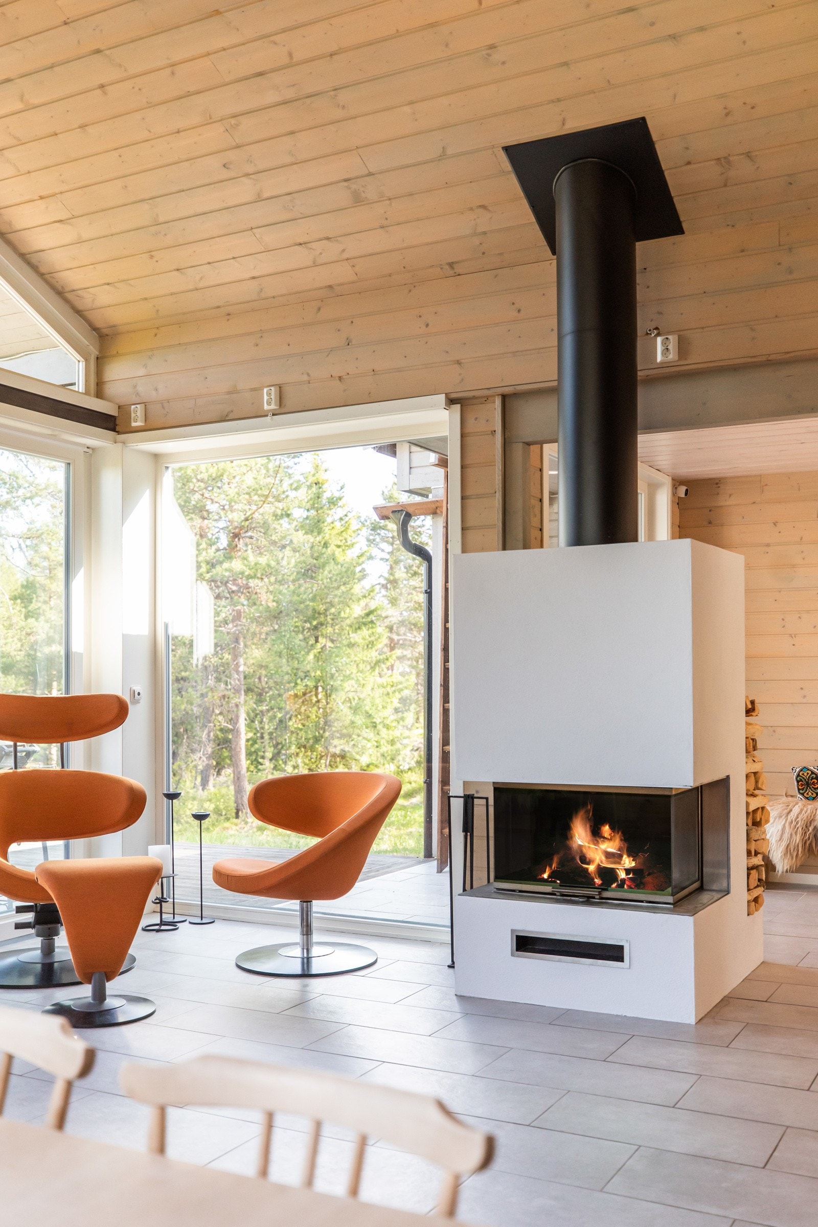 Peiskos hører med på hytta Galleribilde