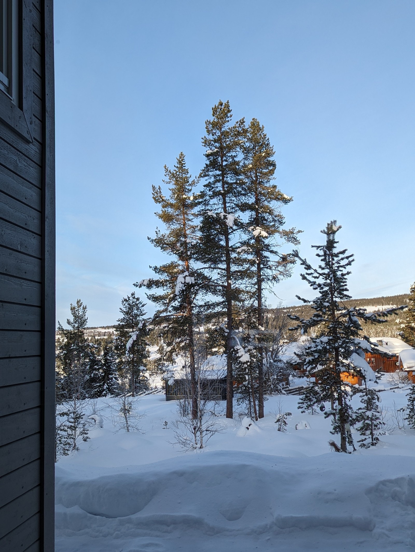 Utsikt fra ene stuevinduet Galleribilde