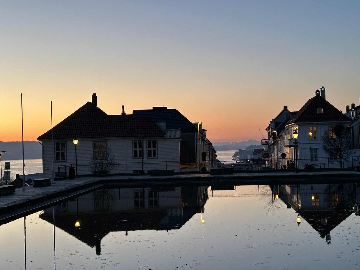 Skansedammen Galleribilde