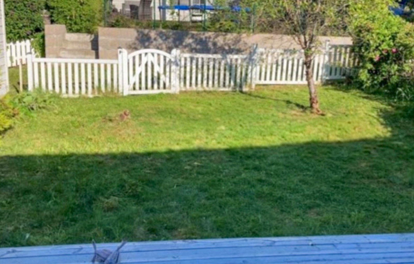 Selgers bilde fra sommertid Galleribilde