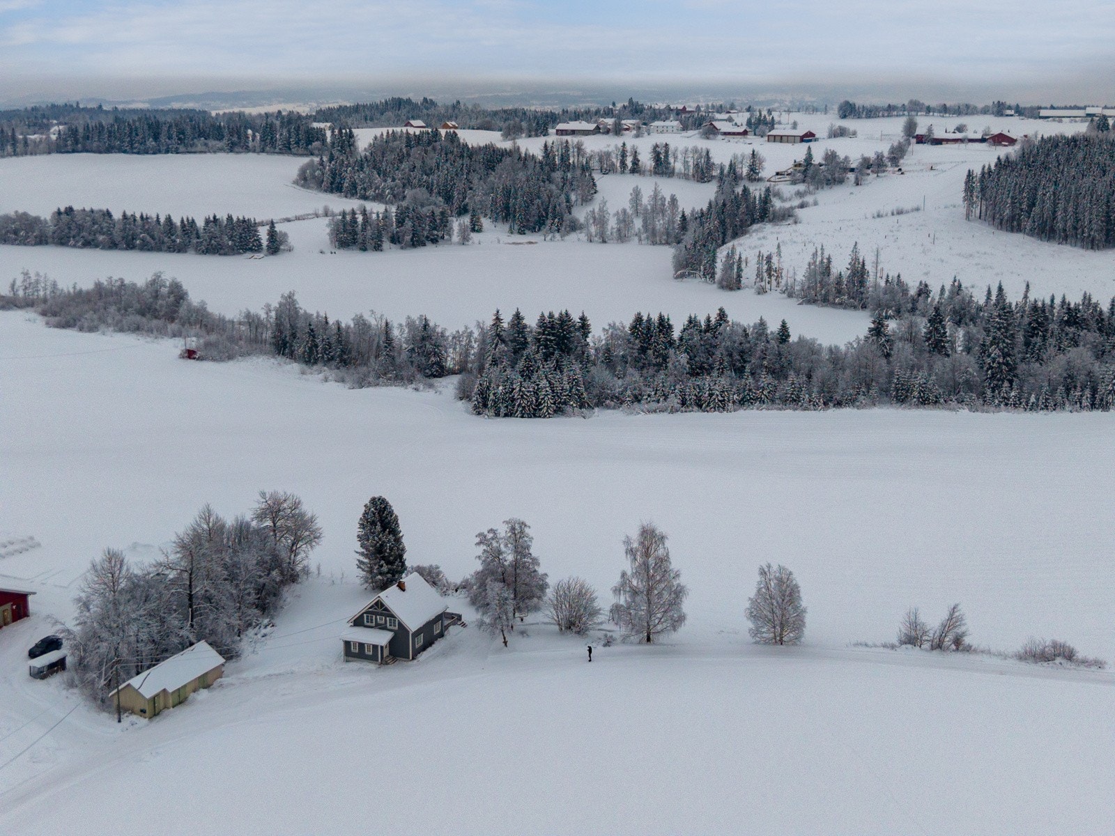 Velkommen til visning - husk påmelding! Galleribilde