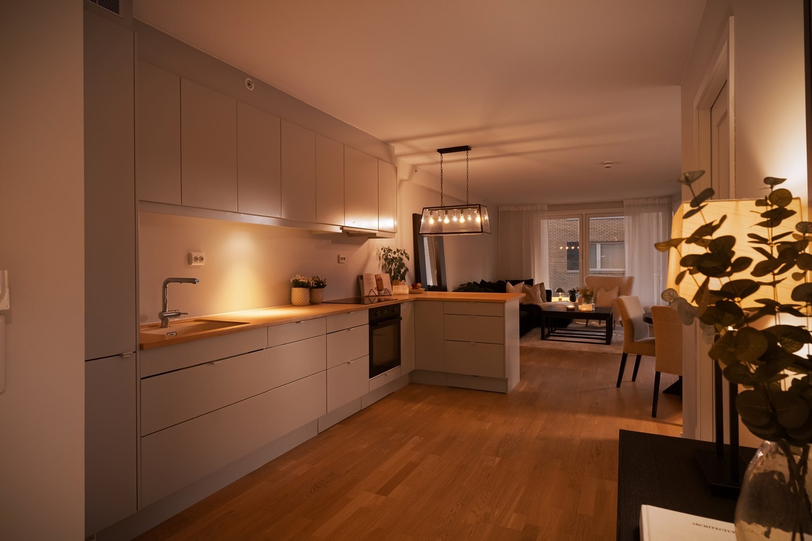 Stekeovn, oppvaskmaskin og kombinert kjøl- og fryseskap er integrert i innredningen Galleribilde