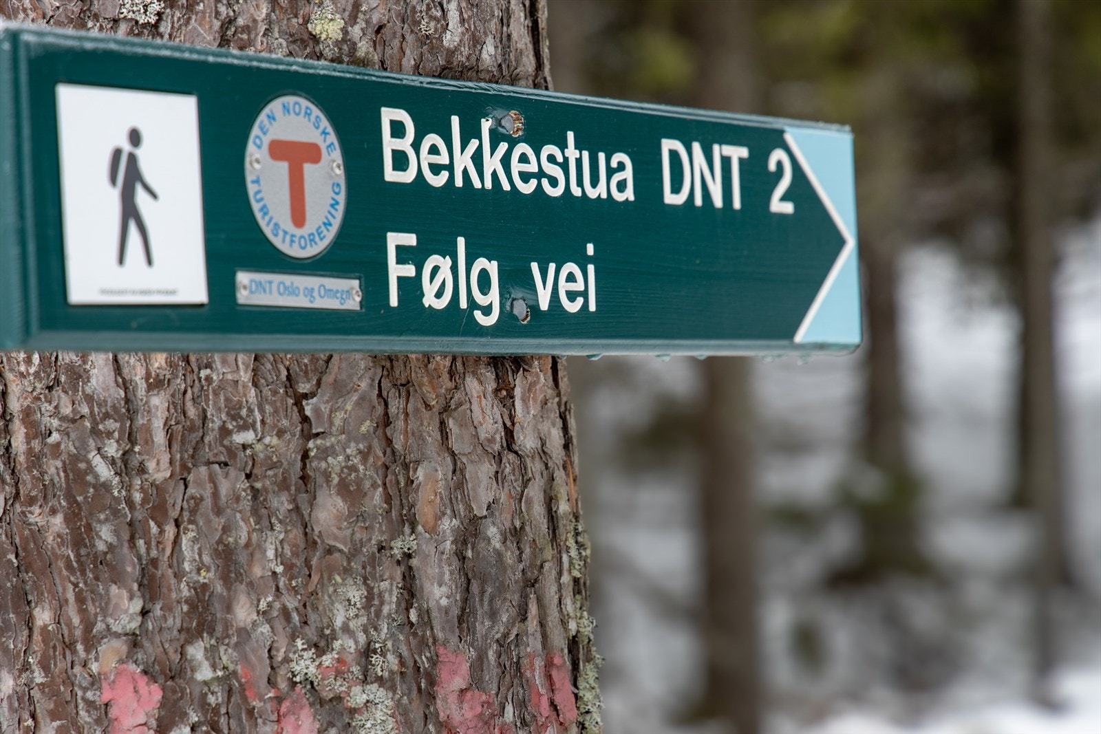 Romeriksåsen Galleribilde