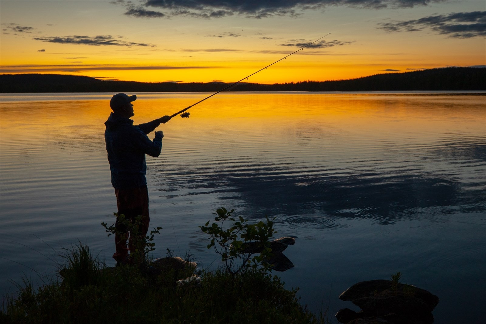 Romeriksåsen Sportsfisker Galleribilde