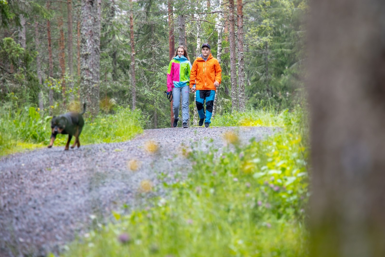 Romeriksåsen Galleribilde