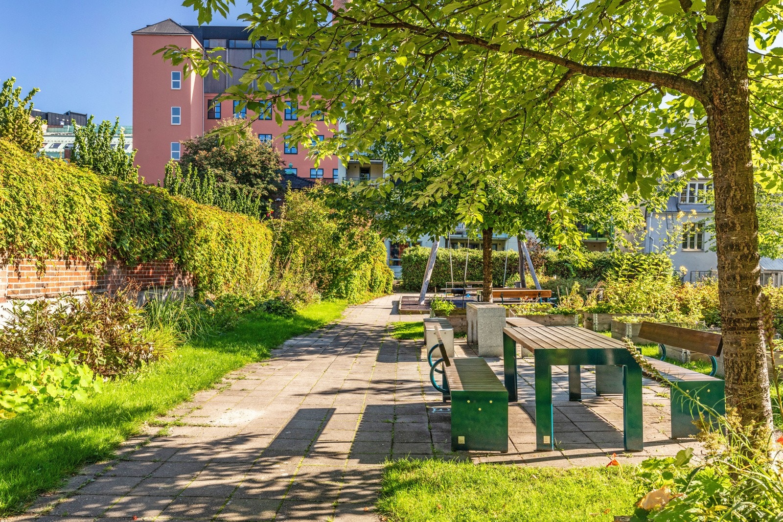 Solrik bakgård med sittegrupper og pen beplantning. Galleribilde