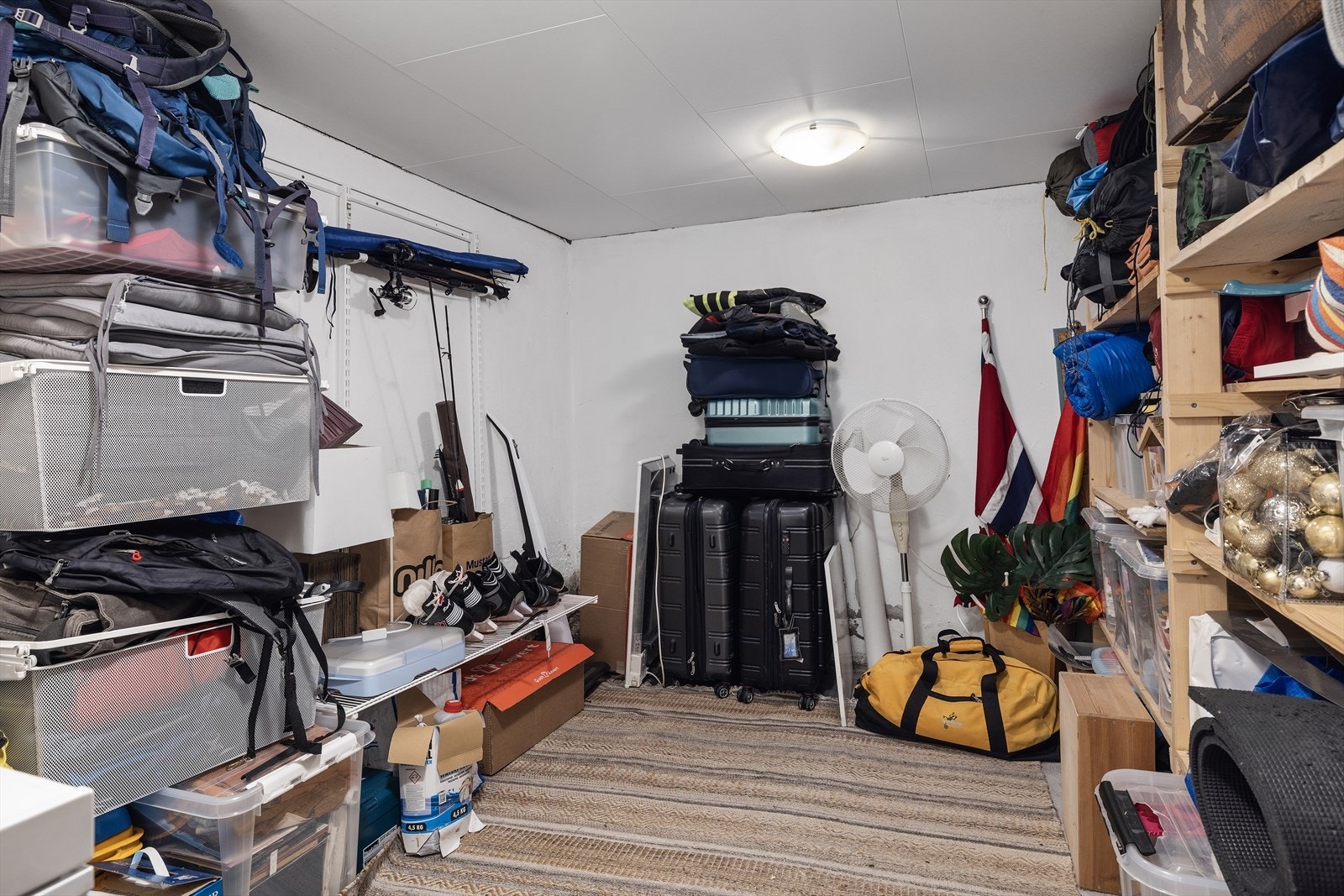 Etablert kjellerrom med gode lagringsmuligheter. Galleribilde