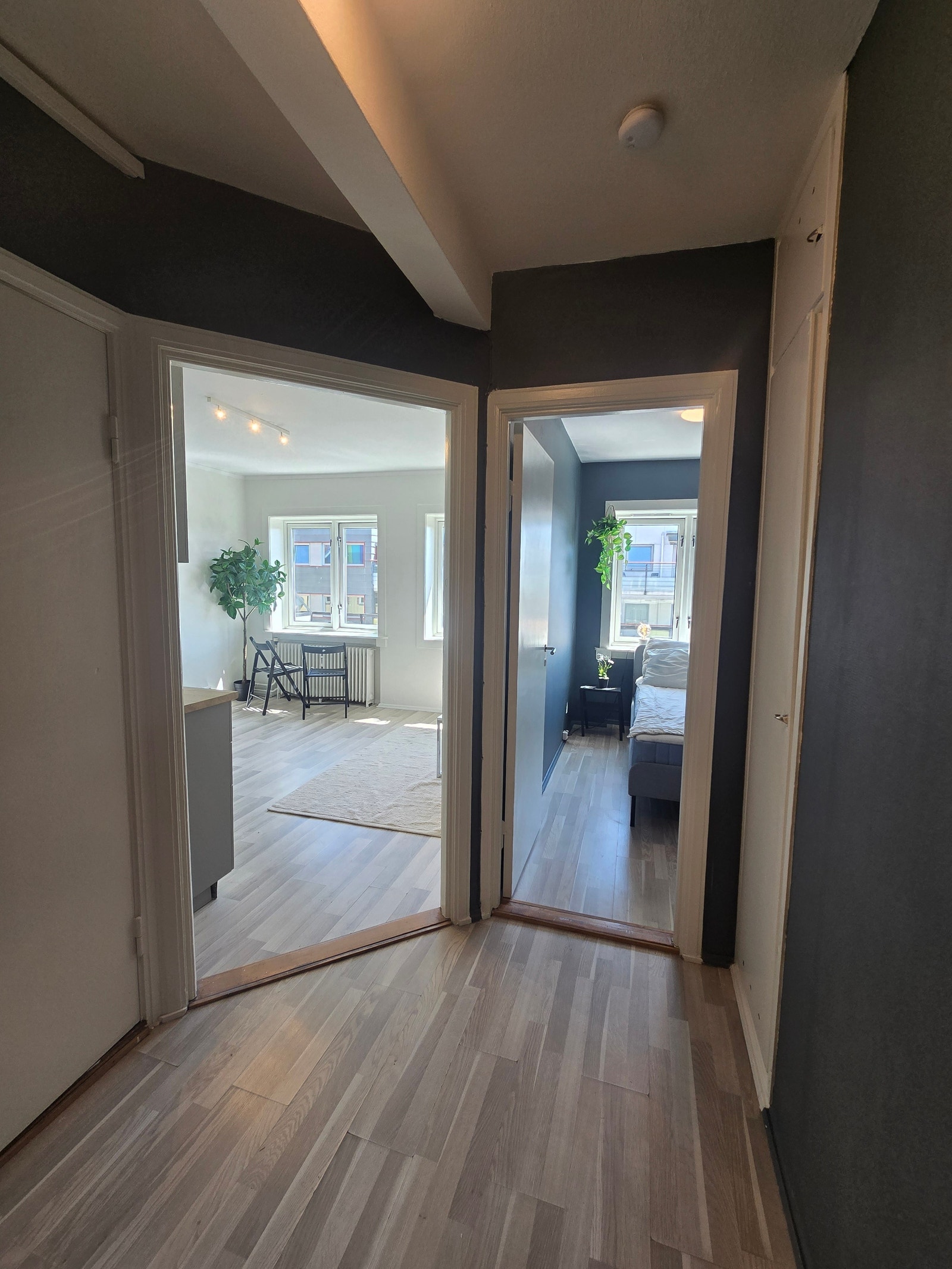 Bilder fra 2025 Galleribilde