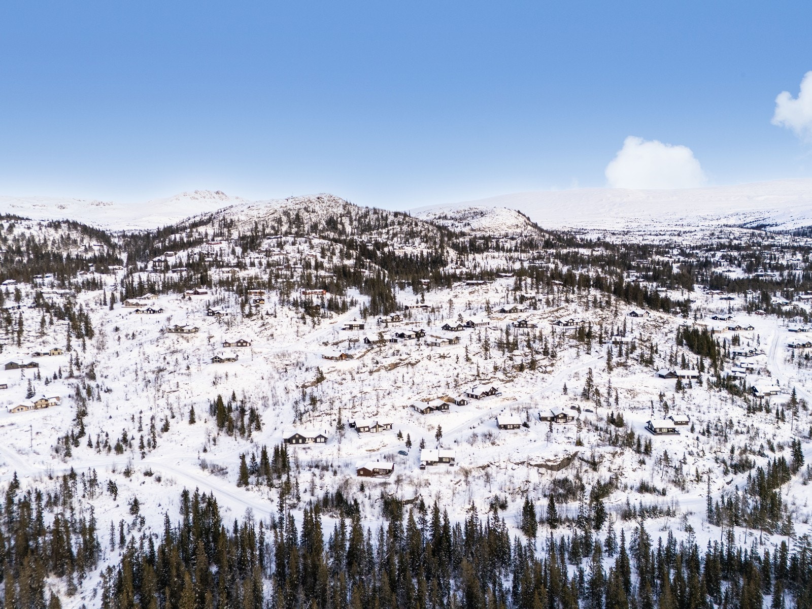 Velkommen til visning! Galleribilde