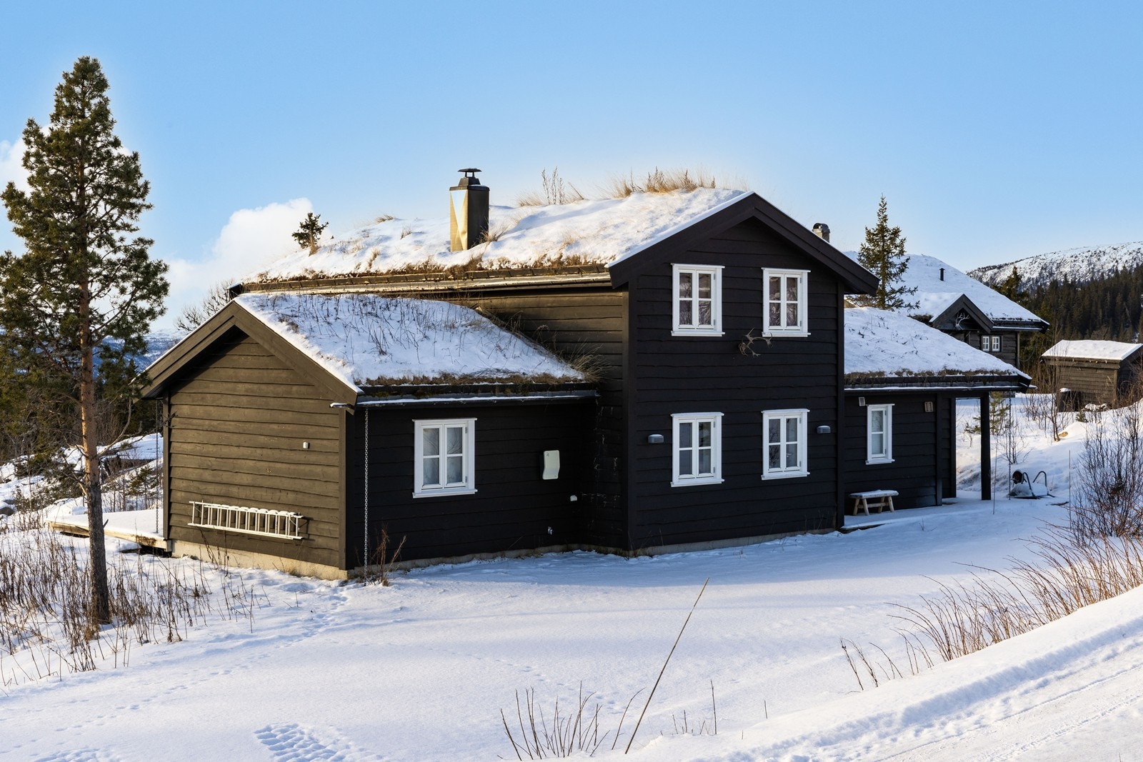 Terrenget omkring hytta er planert og lett opparbeidet med naturlig vegetasjon. Galleribilde