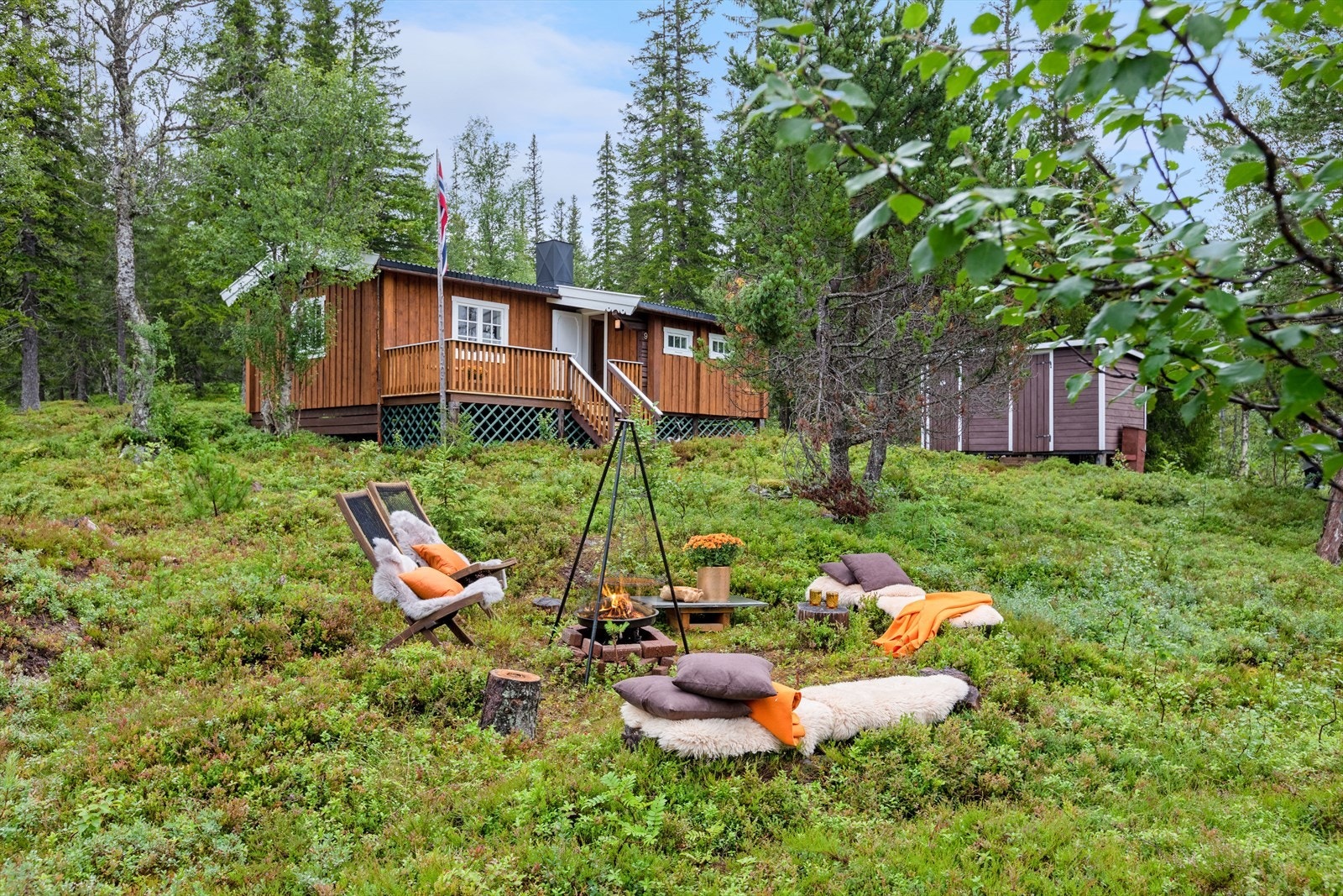 Velkommen til en trivelig visning! Galleribilde