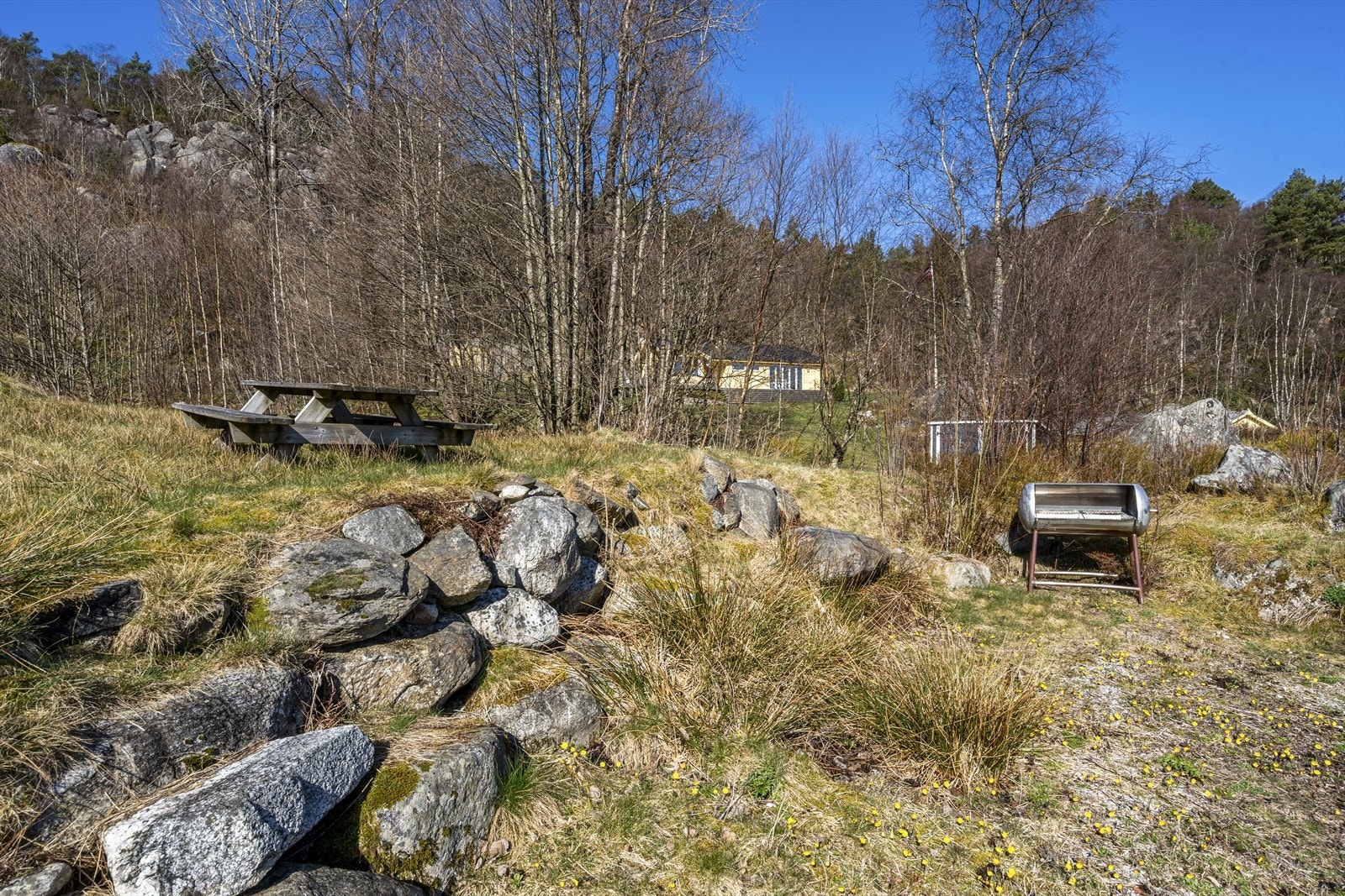 Skjoldastraumen og Hervik også en liten båttur unna. Galleribilde