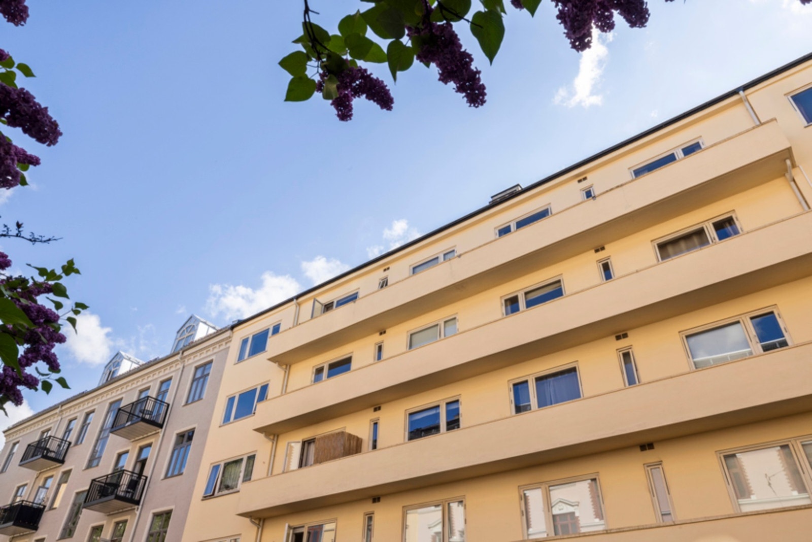 Fasade. Galleribilde