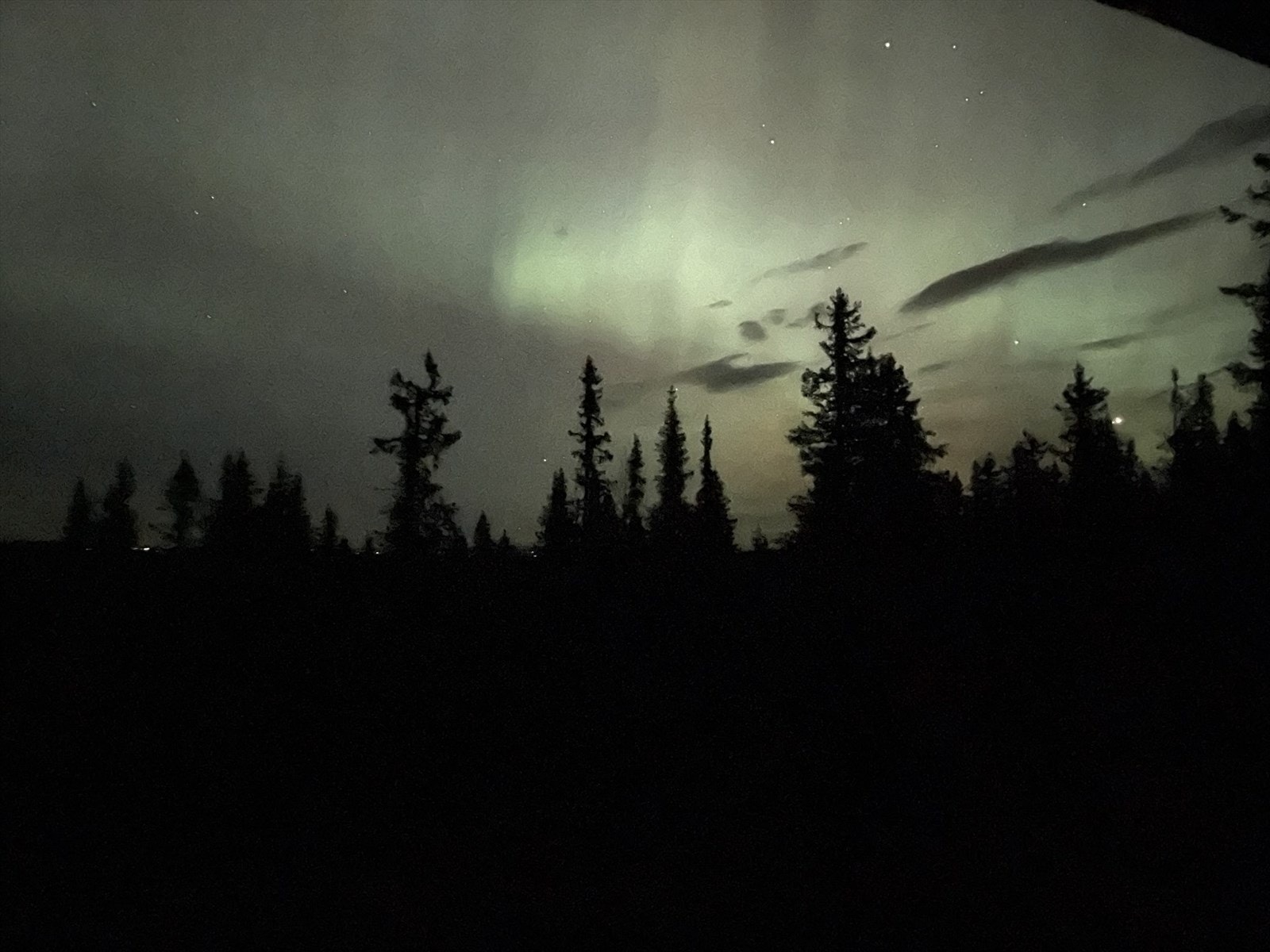 Selgers private bilde Galleribilde