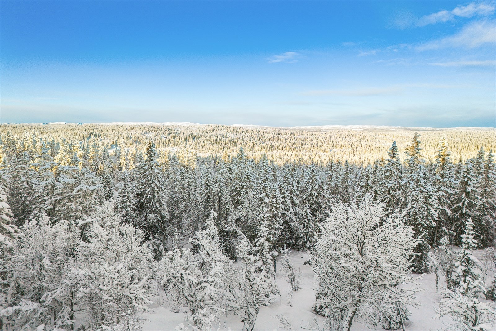 Her kan dagene fylles med opplevelsesrike turer ute i naturen eller bare i stille og fredelige omgivelser inne på hytta. Galleribilde