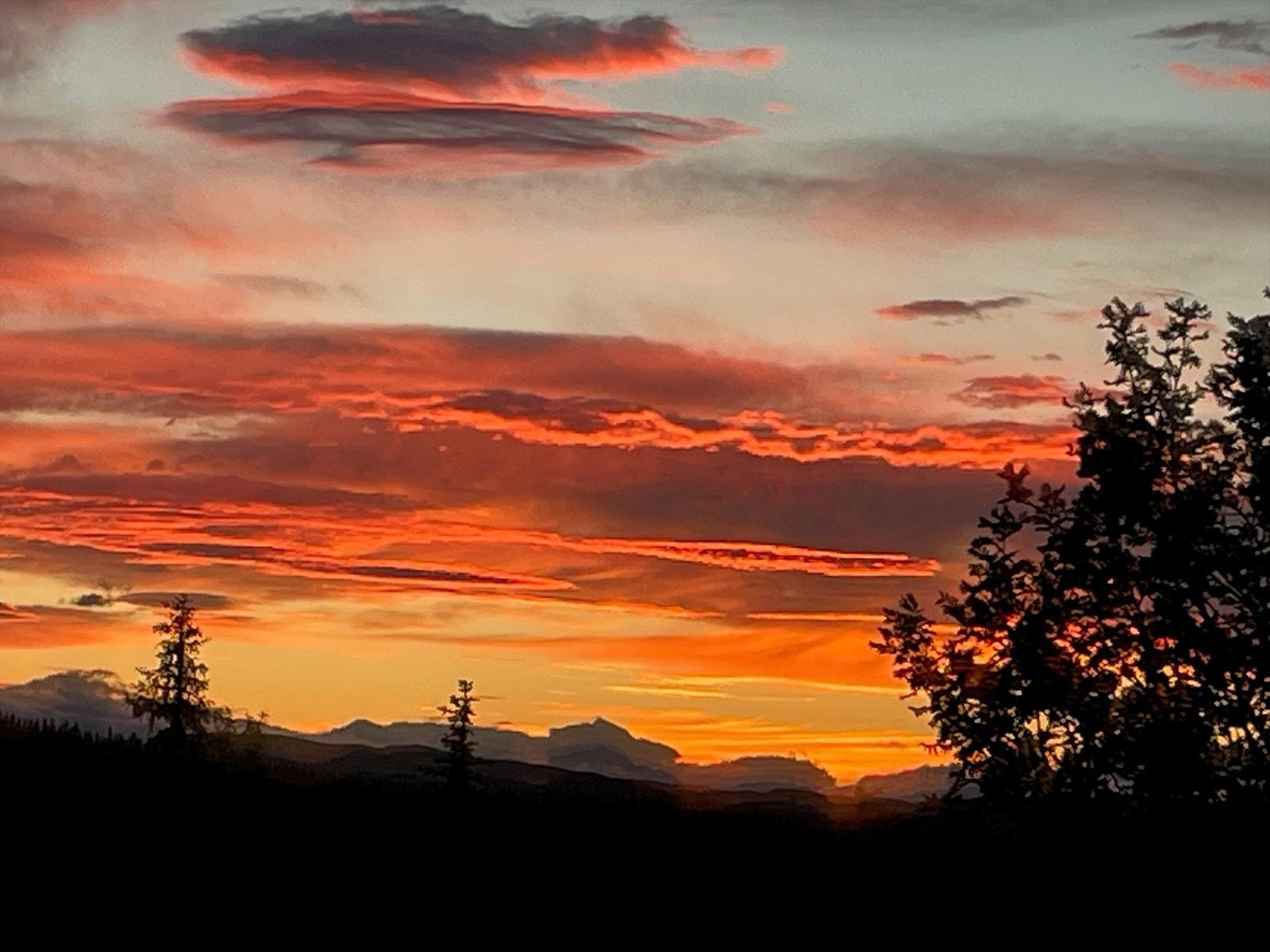 Selgers private bilde Galleribilde