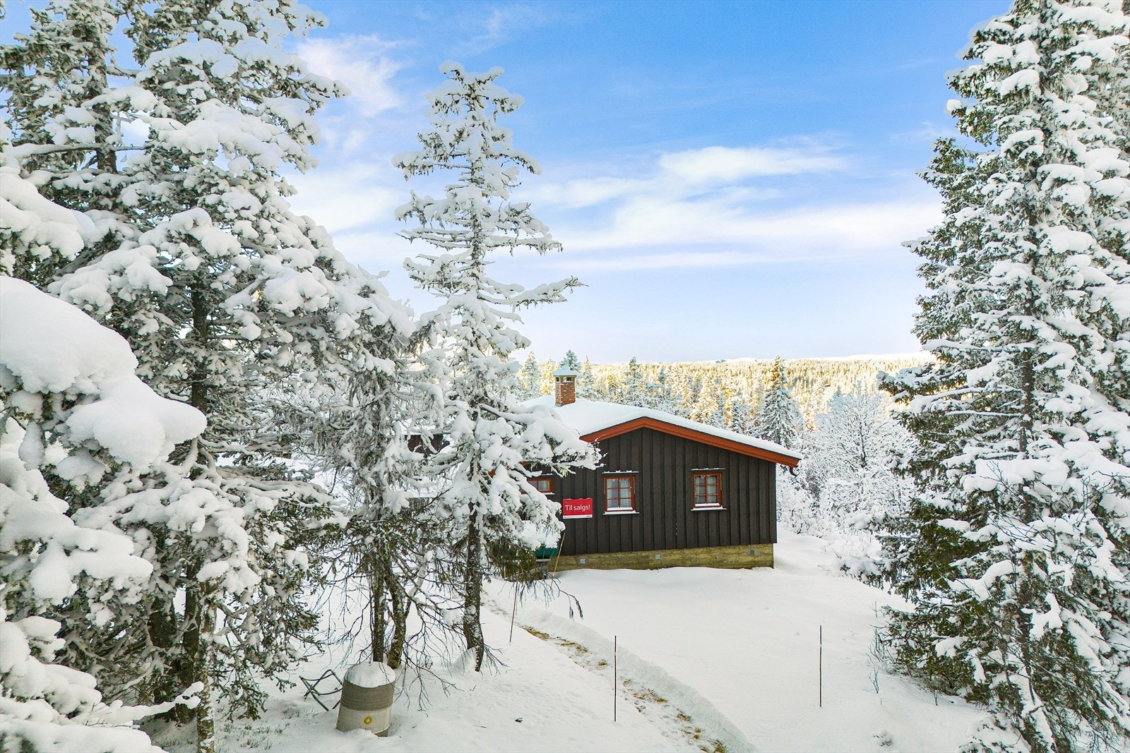 Velkommen til en hyggelig visning! Galleribilde