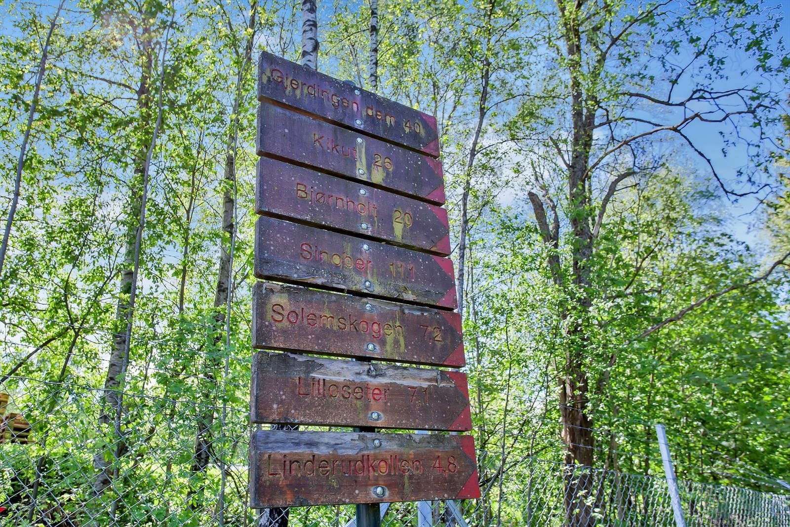 Turstier inn i Lillomarka starter praktisk talt rett utenfor døren. Galleribilde