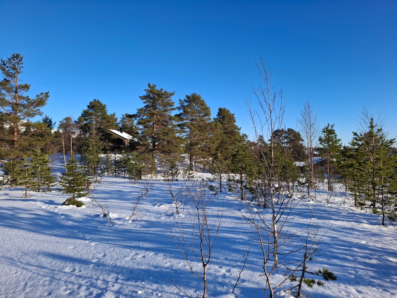 Bilde av tomt H17 Galleribilde