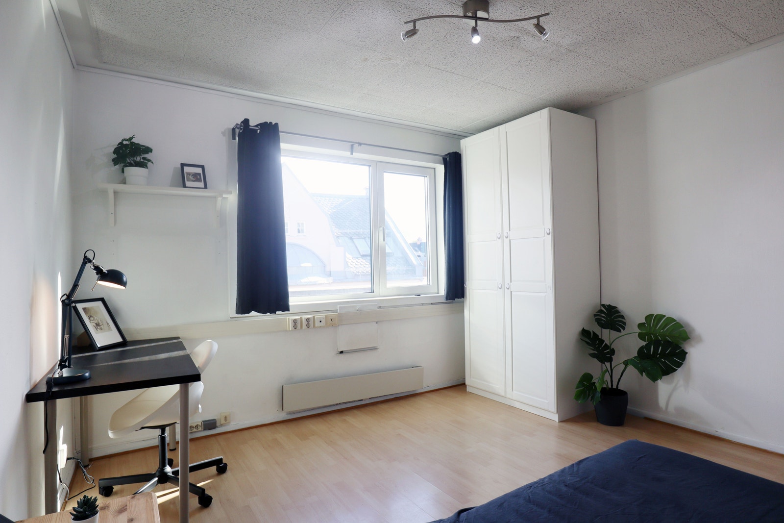 Hybelen Galleribilde