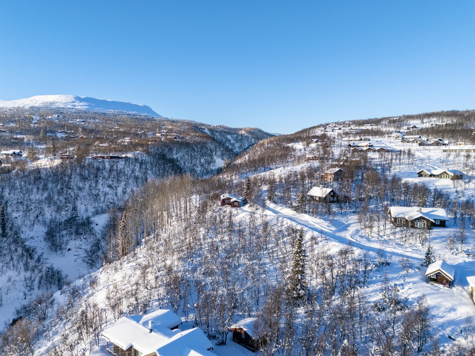 Tomten ligger i Budalsvegen som bringer deg raskt opp i vakre Budalen Galleribilde