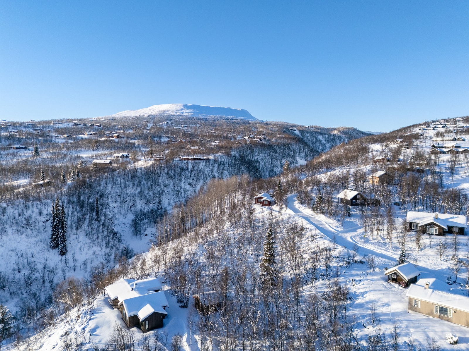 Vakre Havsdalshovda i bakgrunnen Galleribilde
