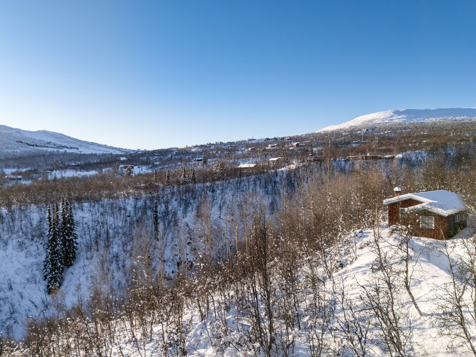 Utsikt mot Havsdalshovda Galleribilde