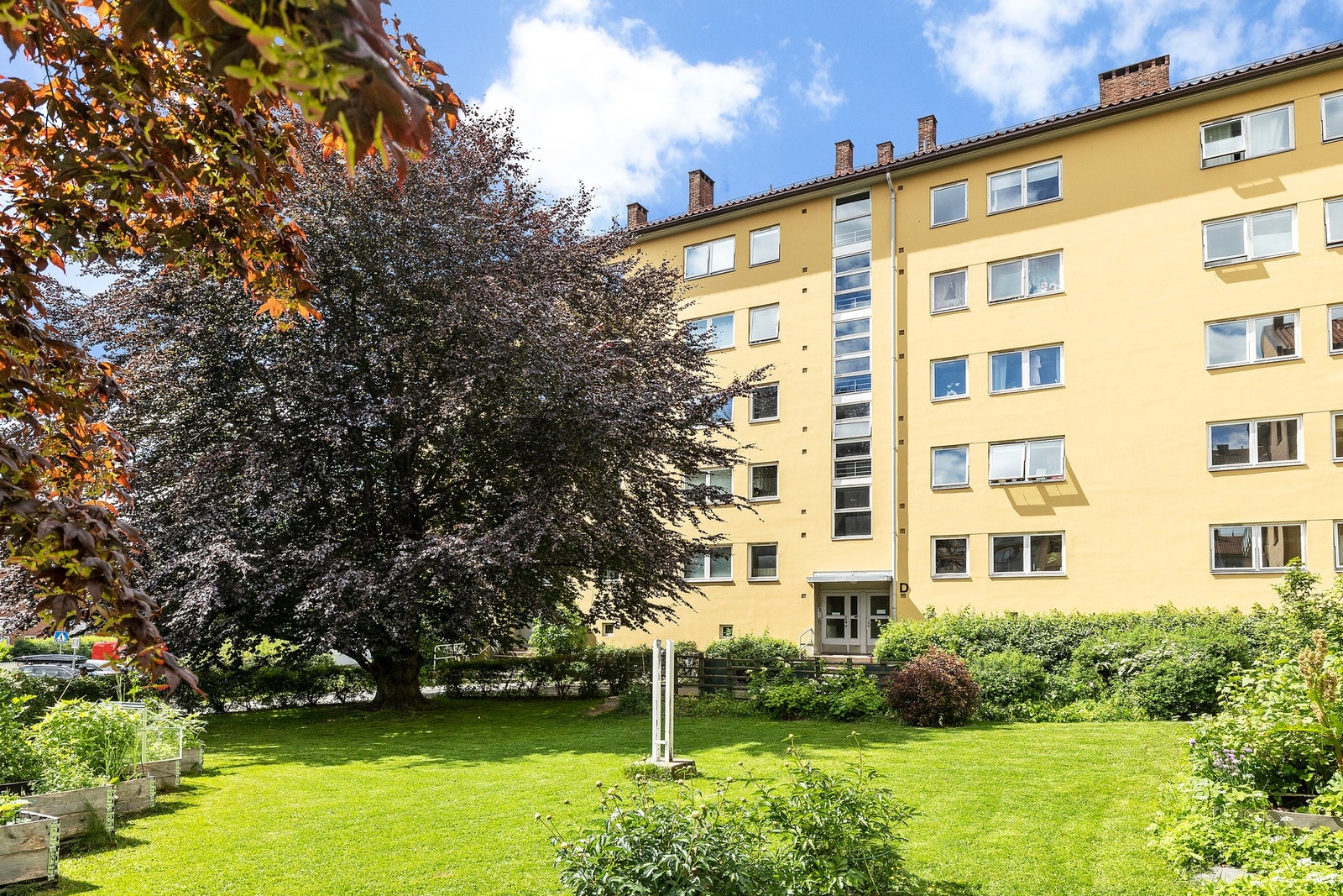 Akjelagets flotte fellesområder Galleribilde