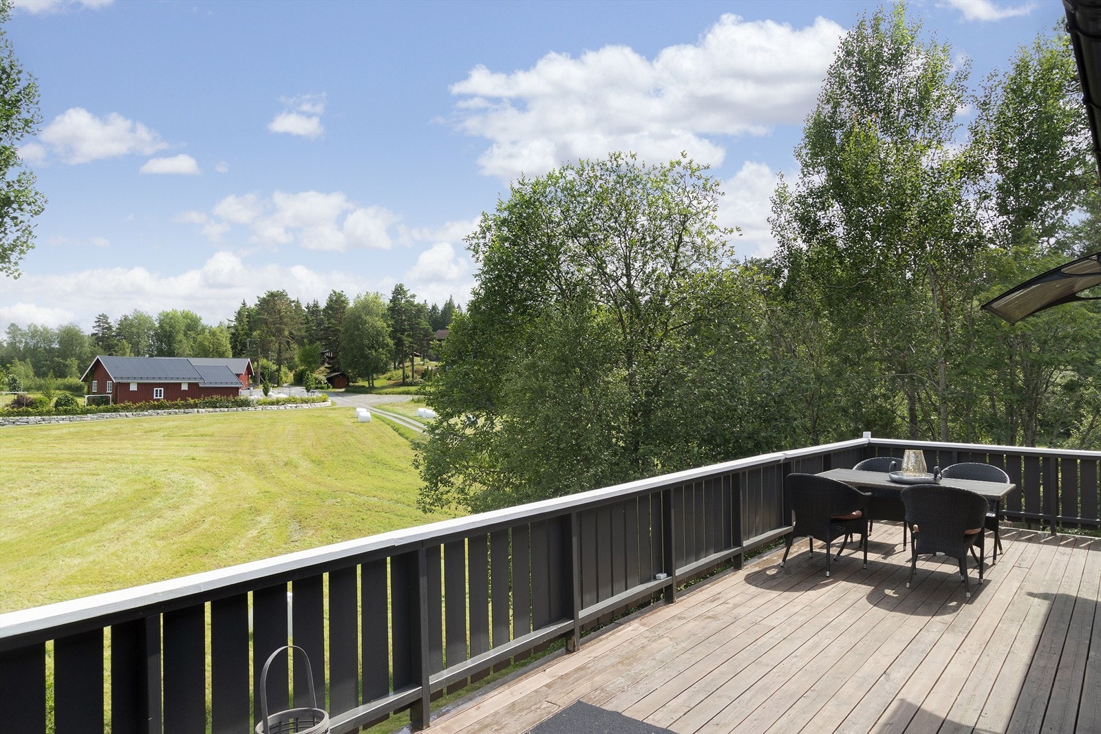 Rett utenfor stuedøren finner du ypperlig terreng for soppturer, og du kan studere dyrelivet på nært hold Galleribilde