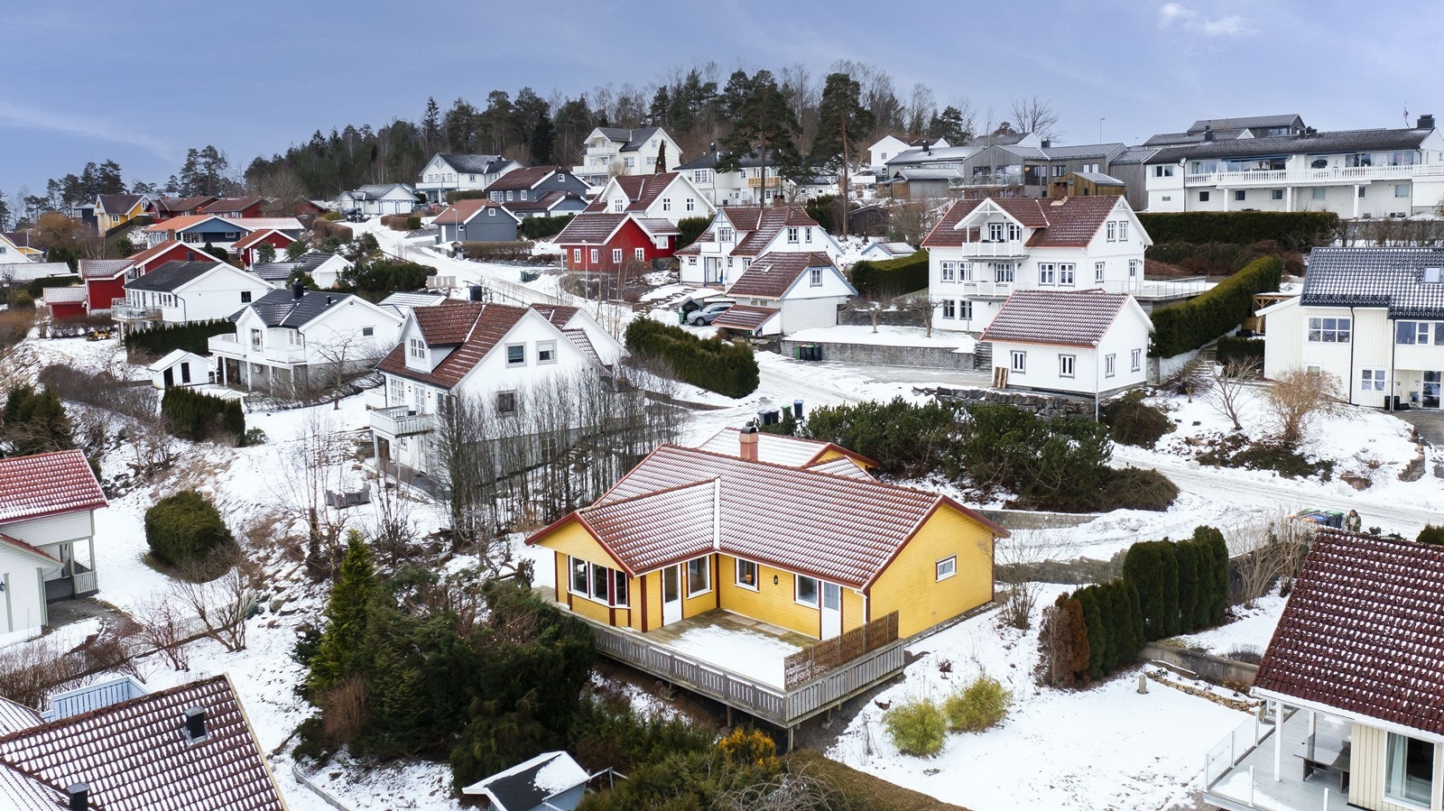 Granlia 10 Galleribilde