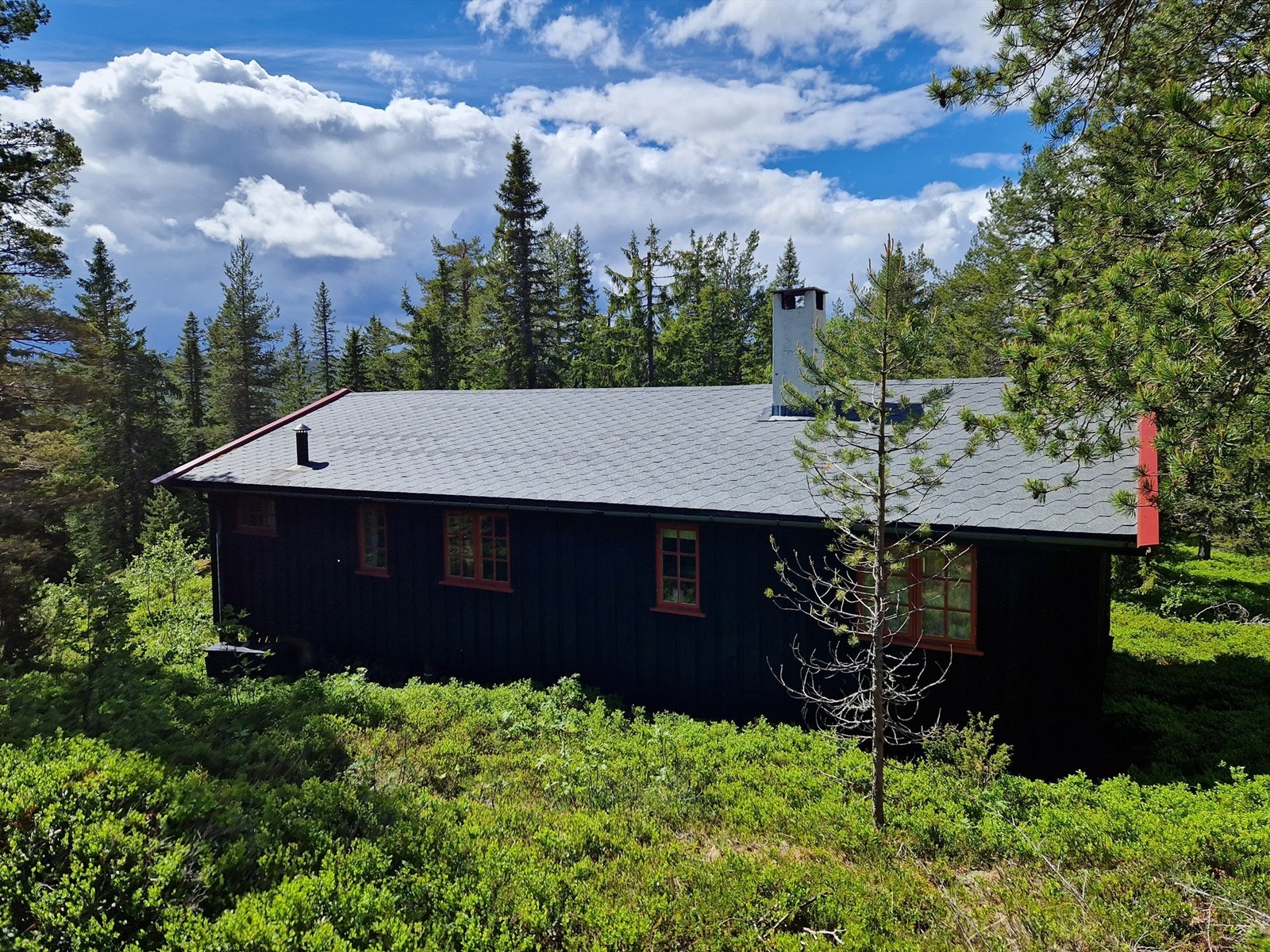 Heimseterhøgda 79 er ligger på den høyeste tomten i hyttefeltet. Galleribilde