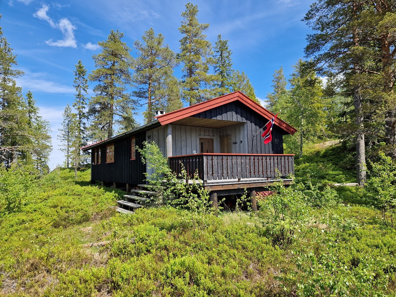 Hytten ligger 100 meter fra bilvei, og er skjermet for alt av bilstøy. Galleribilde