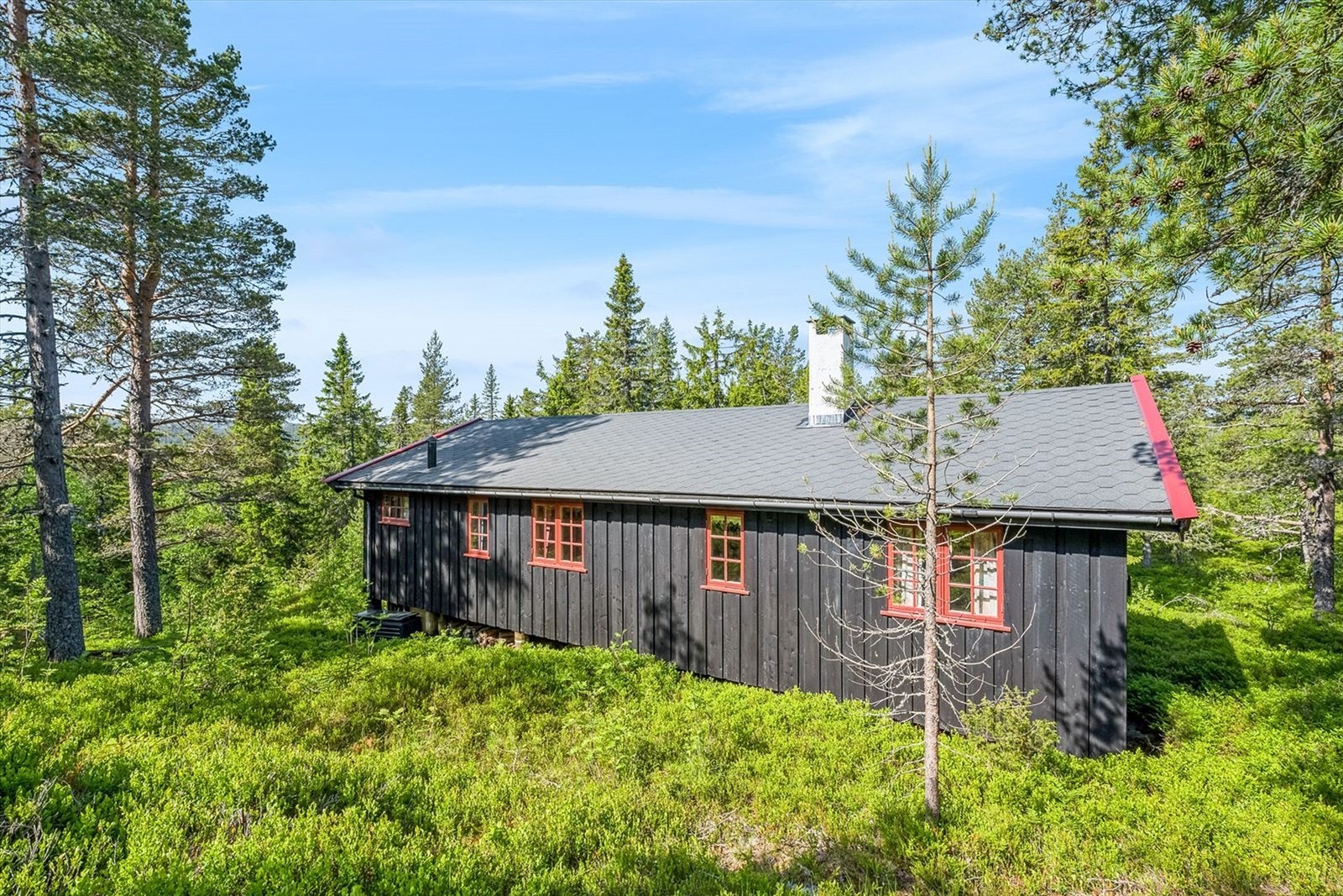 Eiendommen har fantastiske solforhold. Galleribilde