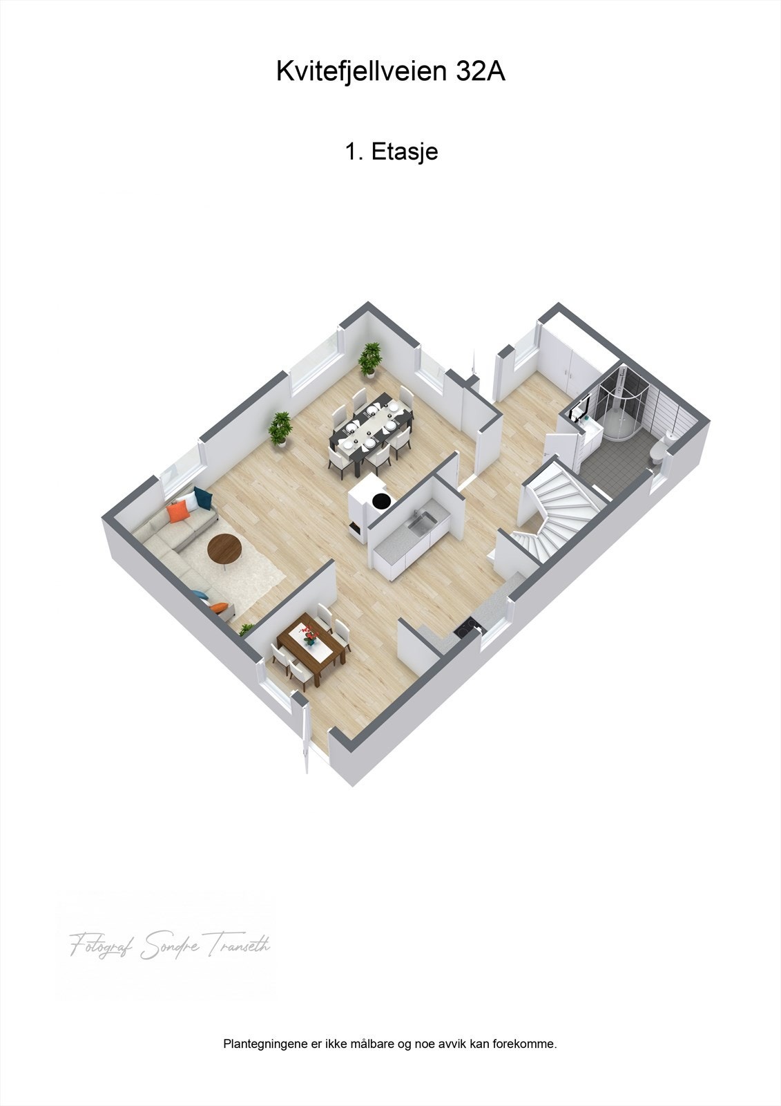 Planløsning 1.etg.: entre, mellomgang, bad/vaskerom, kjøkken med tilkomst til terrasse, spisestue og stue. Galleribilde