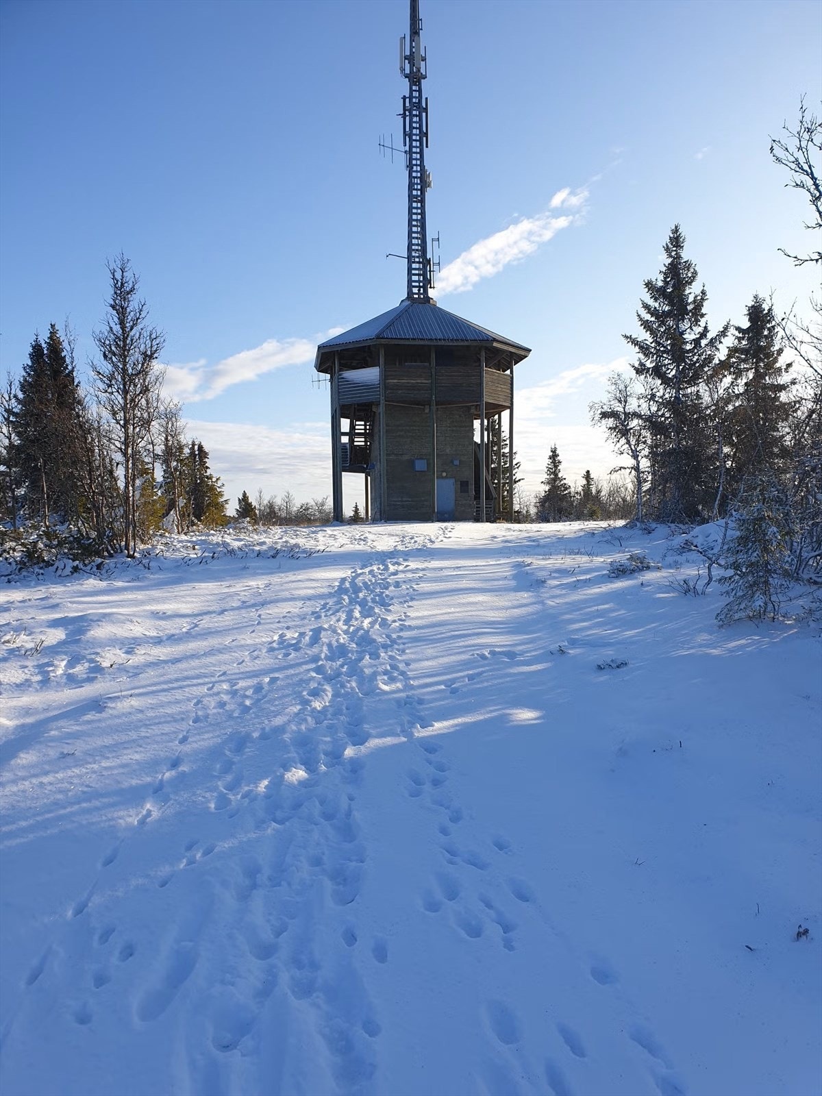 Selgers eget bilde - Utkikkstårnet på Gålå som ligger litt opp fra hytta, er et populært turmål som tilbyr en fantastisk utsikt over Gålåvatnet og fjellheimen. Galleribilde