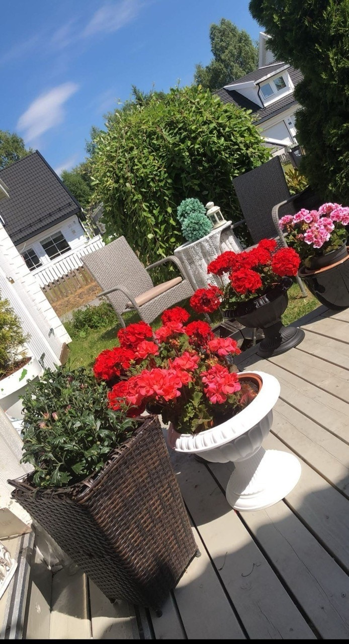 Her kan du nyte sommeren med romslig terrasse og solrike utearealer. Bilde er tatt av selger i sommer. Galleribilde