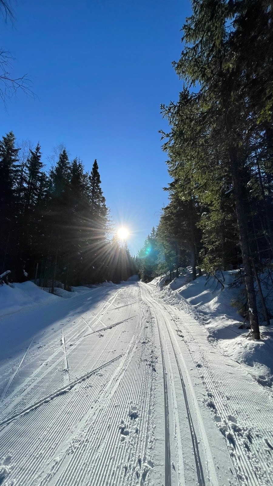 Kun 10 min unna med bil ligger vakre Nordåsen med flotte skiløyper. Kan benyttes sommer og vinter. Galleribilde