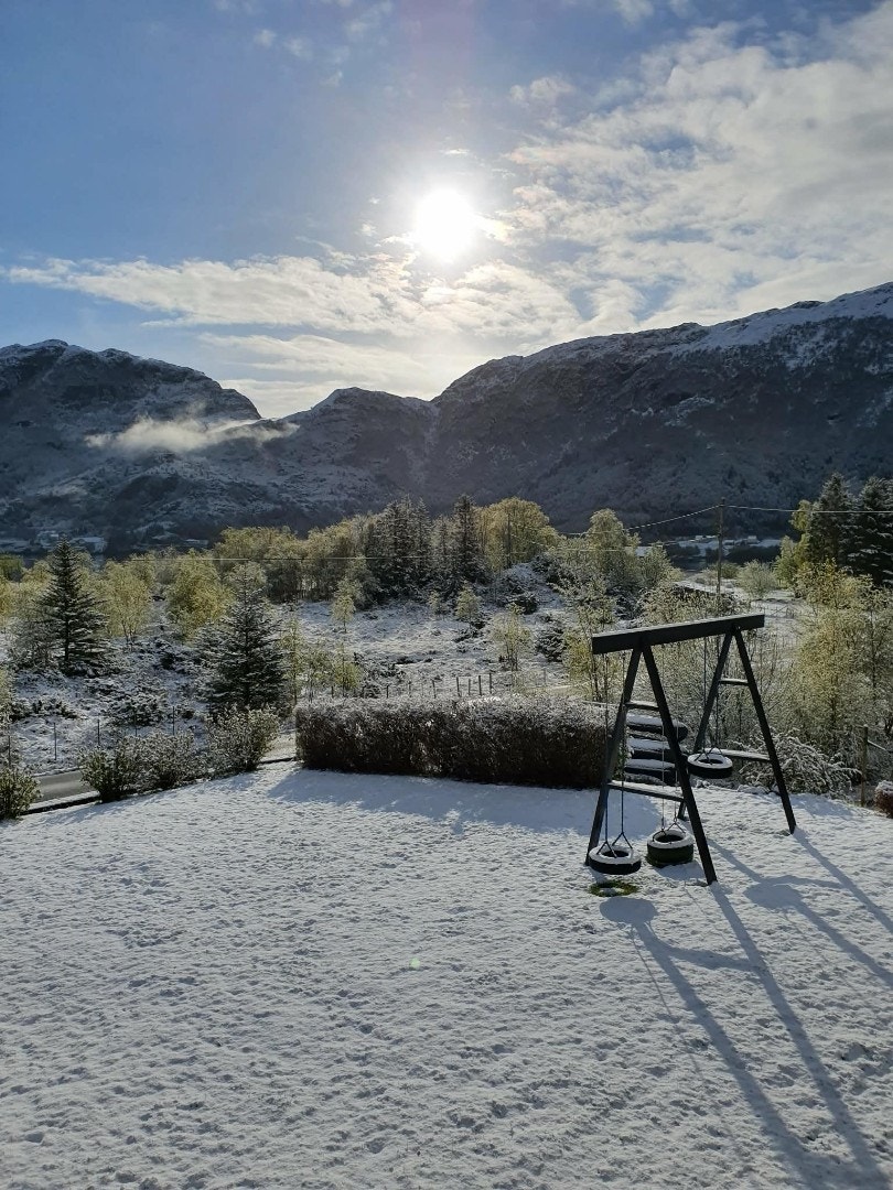 Selgers private bilde Galleribilde