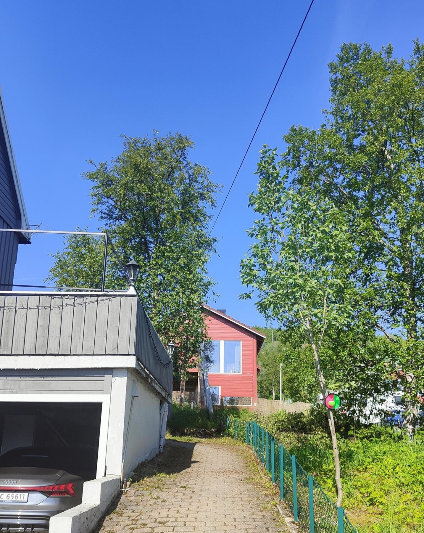 Privat sommerbilde. Galleribilde