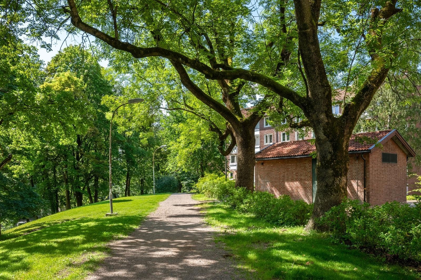 Gård 4 Galleribilde