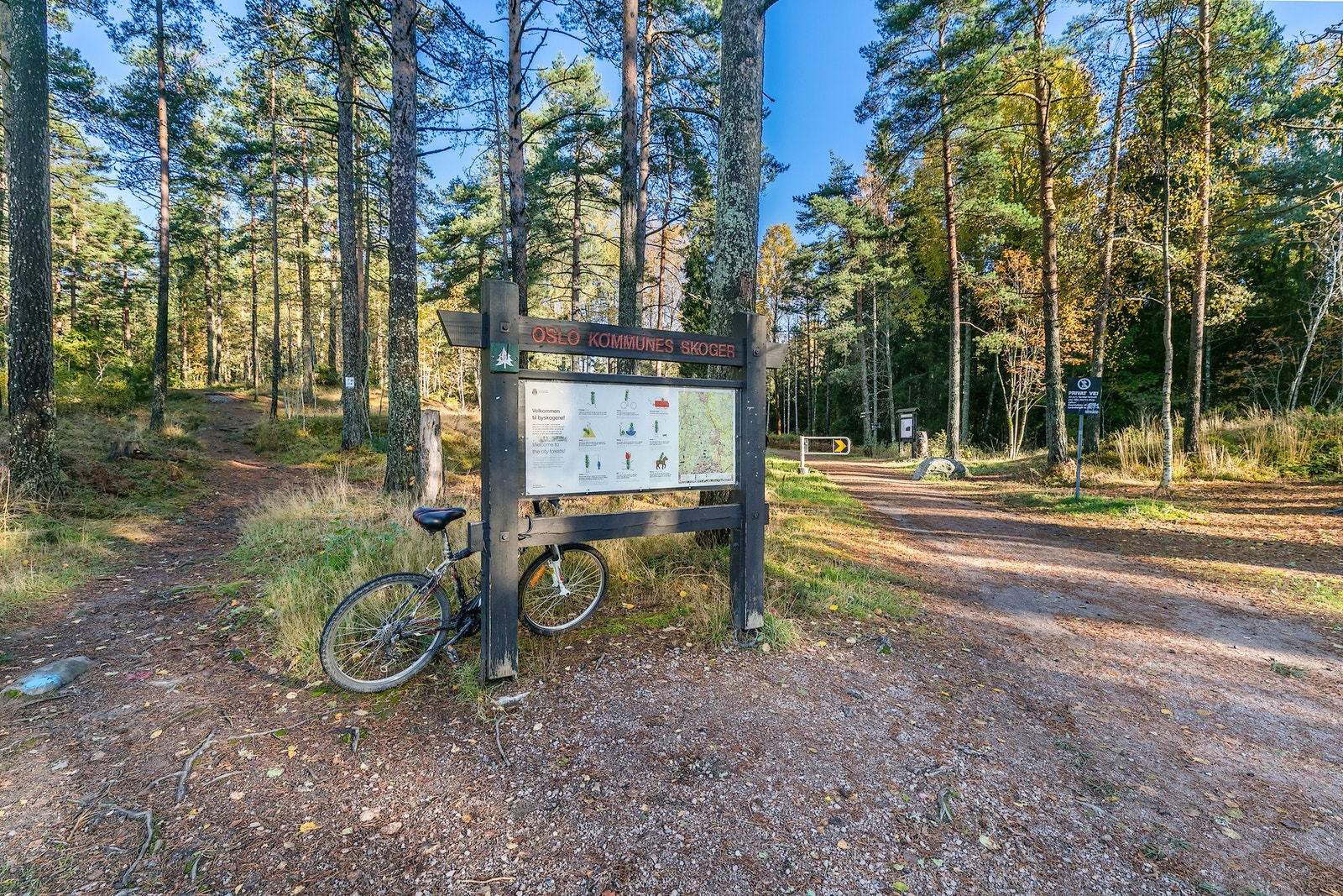 Stovner kan by på et rikt løypenett i marka. Galleribilde