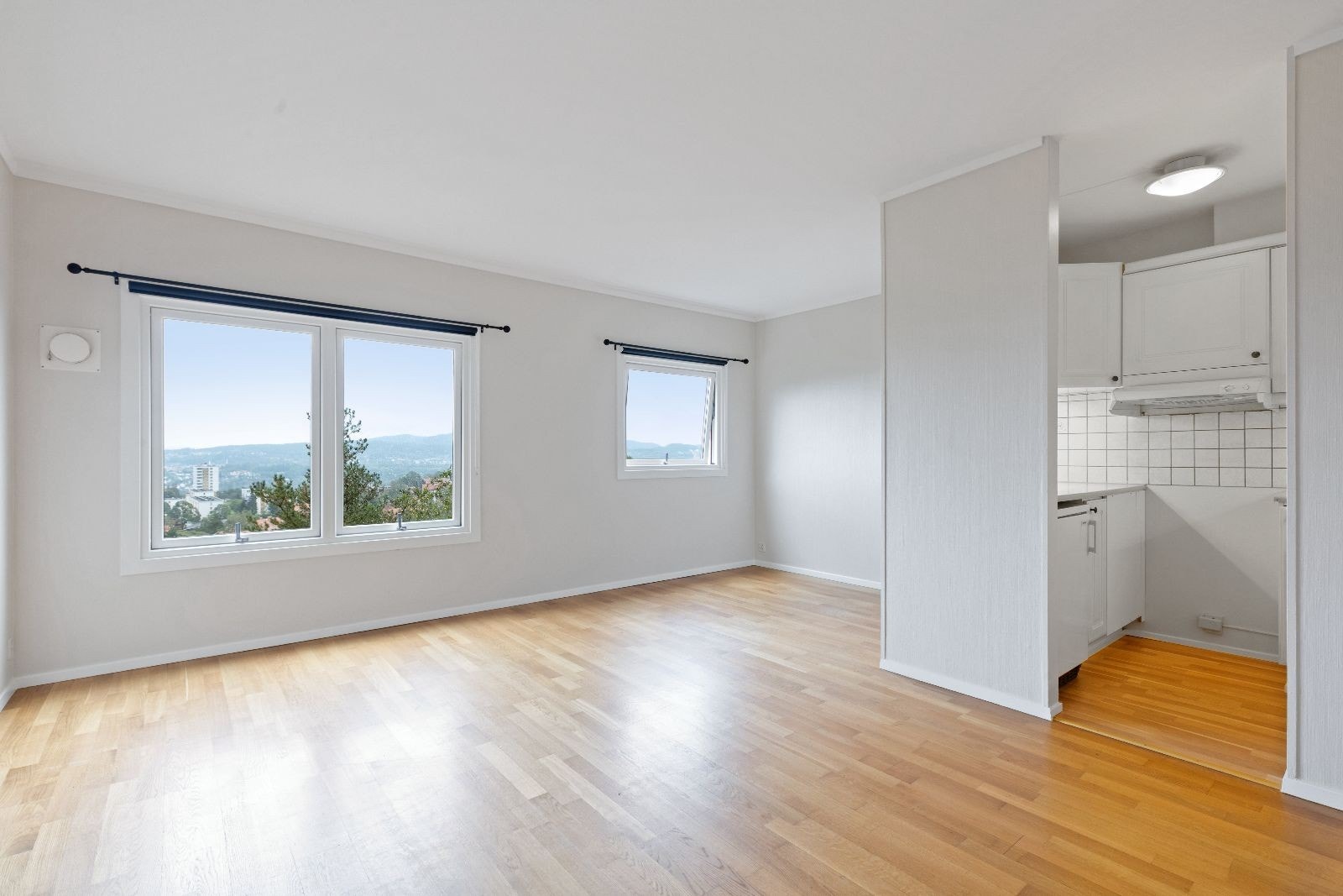 oppholdsrom Galleribilde