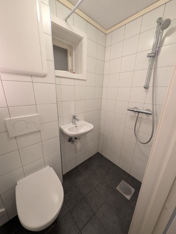 Bad med toalett, dusj og servant. Galleribilde