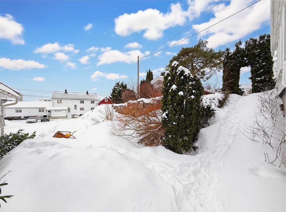 Stor hage med plen og trær – perfekt for uteaktiviteter Galleribilde