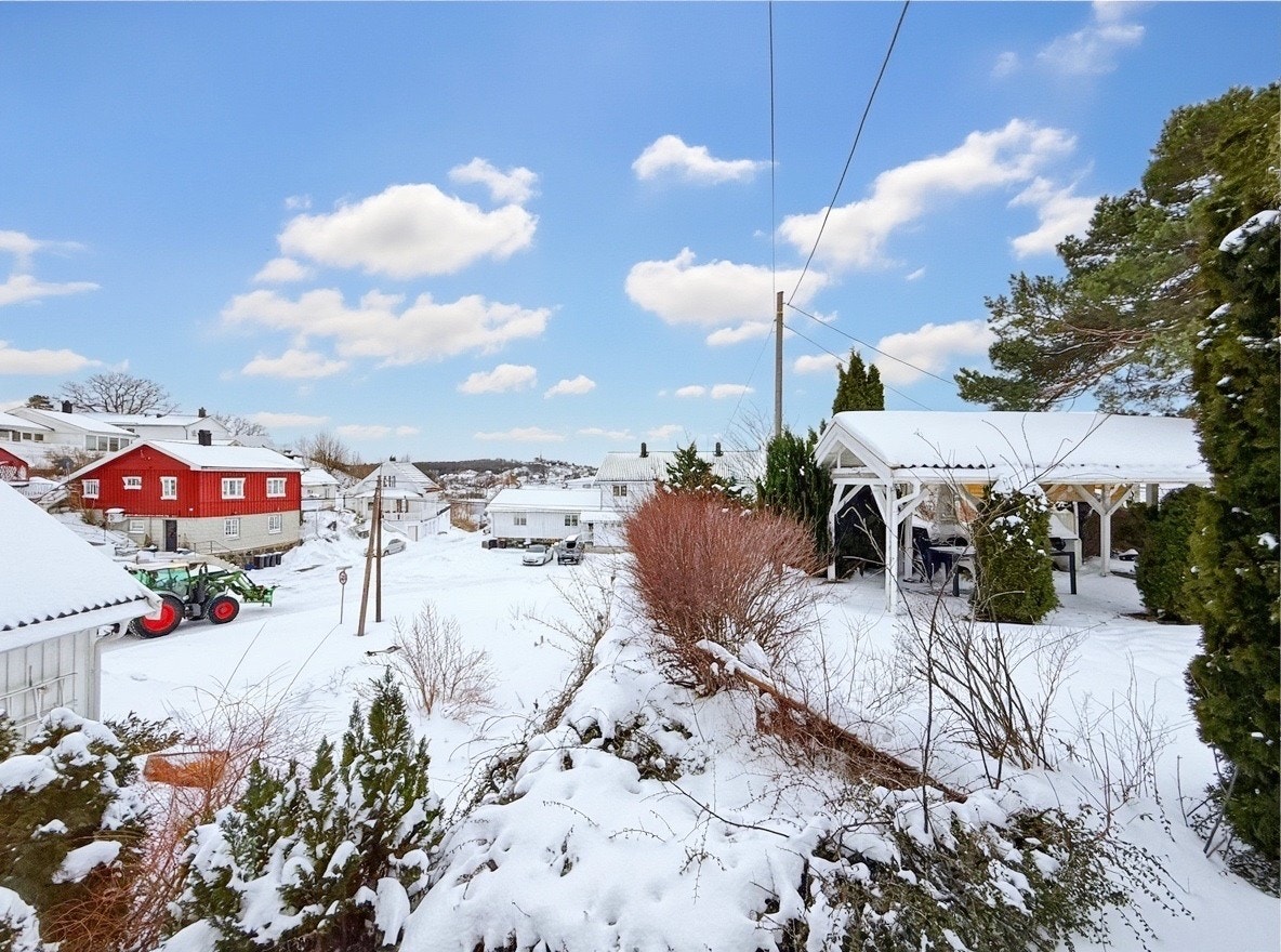 Stor hage med plen og trær – perfekt for uteaktiviteter Galleribilde