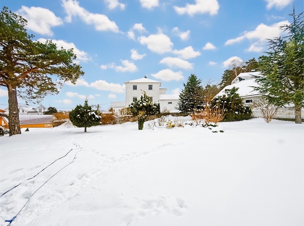 Trivelig gangvei gjennom hagen frem til inngangen Galleribilde