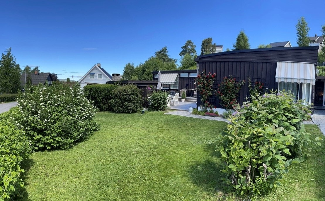 Privat sommerbilde Galleribilde