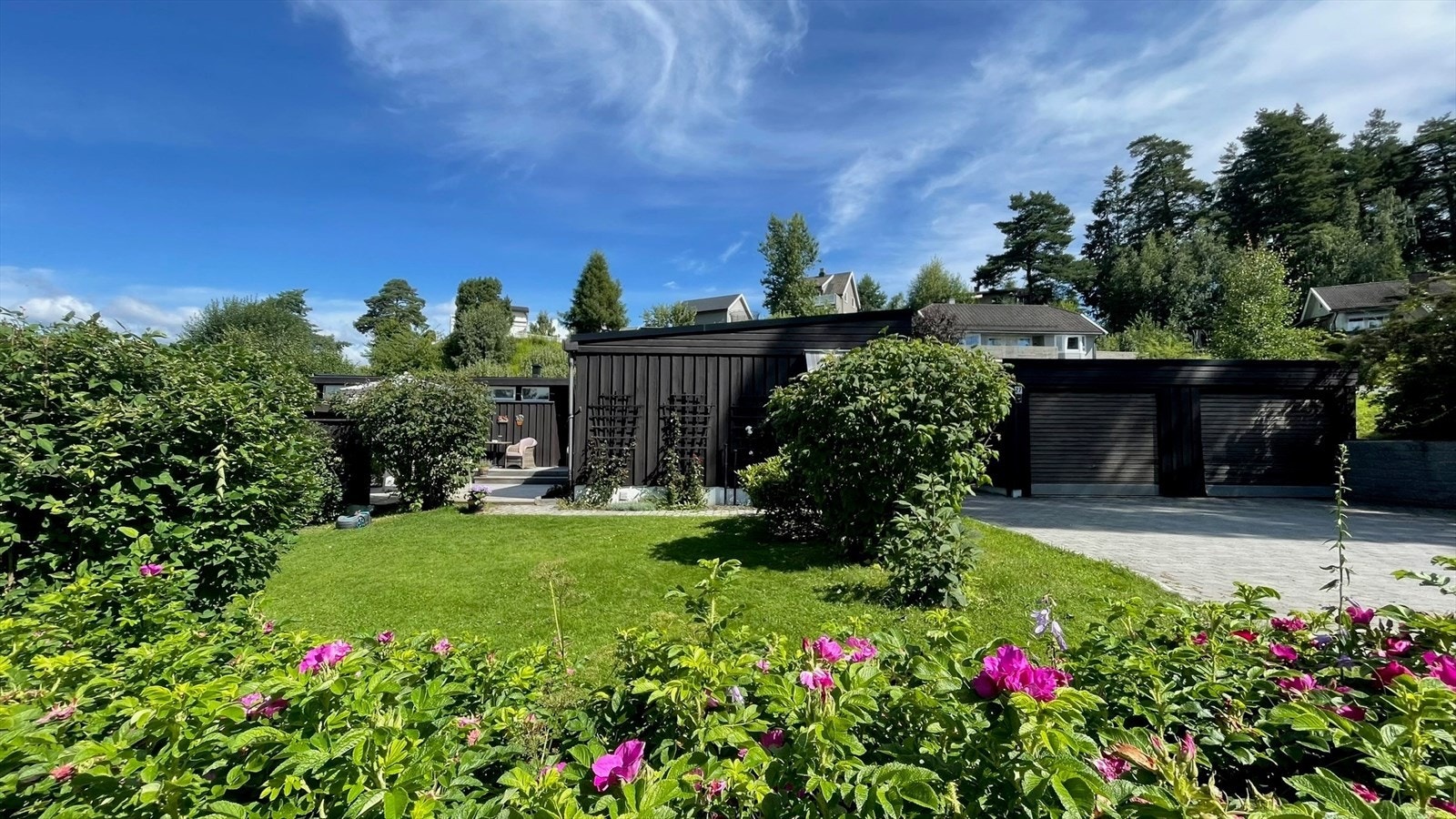 Privat sommerbilde Galleribilde