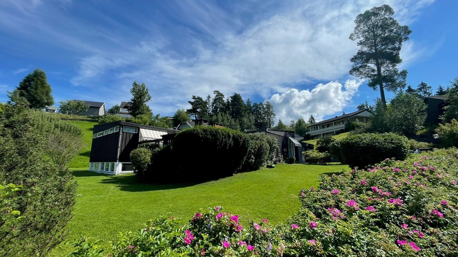 Privat sommerbilde Galleribilde