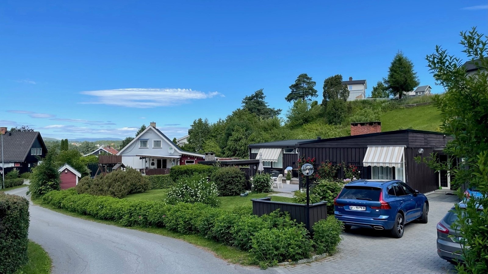 Privat sommerbilde Galleribilde